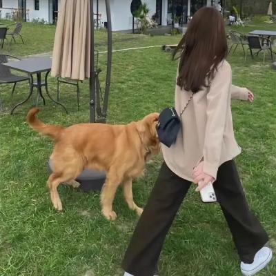 终极异噬界